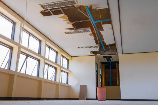Best Sewage cleanup and water damage restoration  in Rutherford, PA