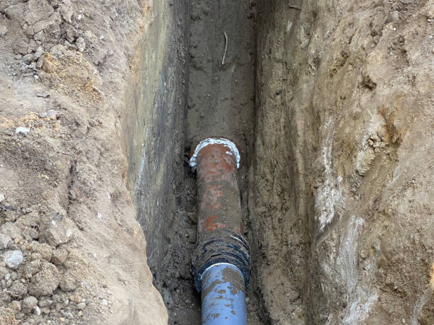 Best Basement water damage restoration  in Rutherford, PA