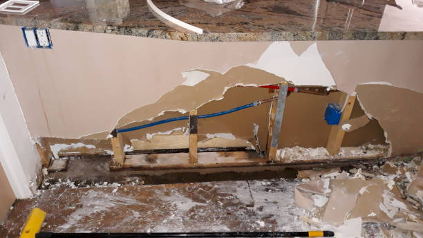 Best Flood damage cleanup  in Rutherford, PA