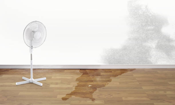 Best Flood restoration services  in Rutherford, PA