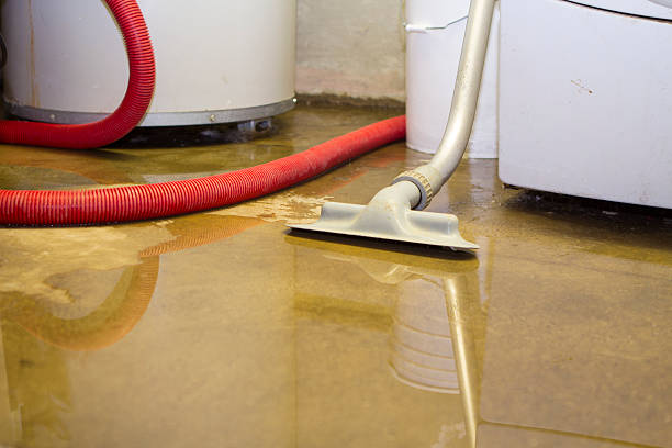 Best Ceiling water damage repair  in Rutherford, PA