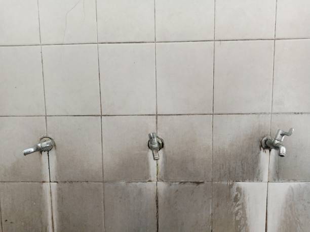 Best Fire Damage Restoration  in Rutherford, PA