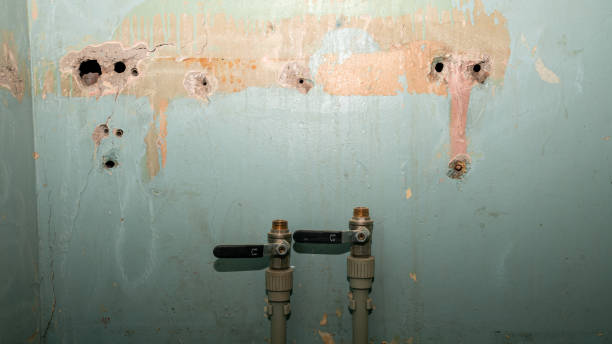 Best Water damage contractors near me  in Rutherford, PA