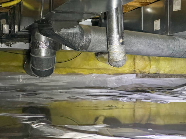 Best Local water damage restoration  in Rutherford, PA