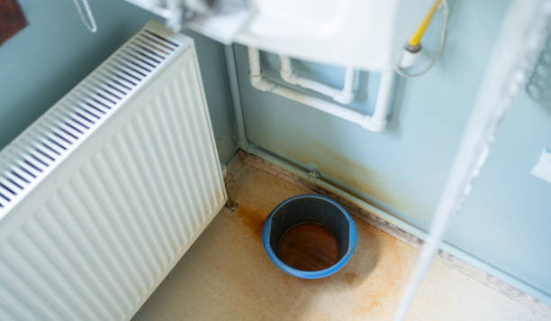 Best Water damage restoration services  in Rutherford, PA