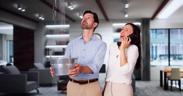  Rutherford, PA Water damage restoration Pros