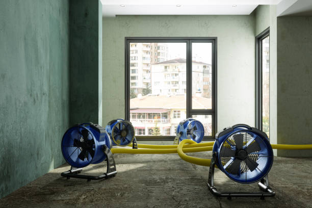 Best Water damage restoration near me  in Rutherford, PA