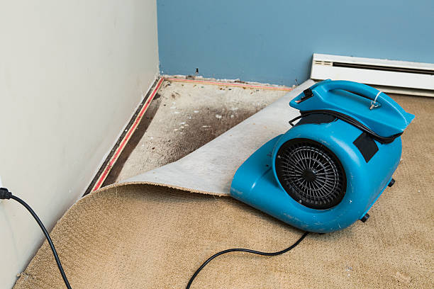 Best Carpet water damage restoration  in Rutherford, PA